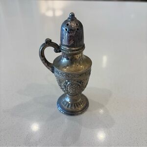 Elegant Silver Salt Shaker